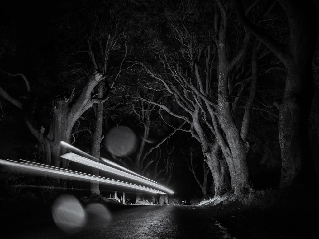 Dark Hedges