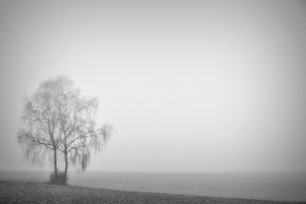 Nebel